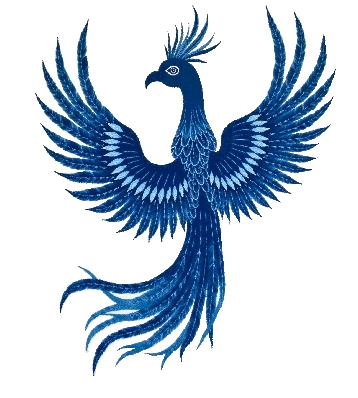 YS-XFD261.psd