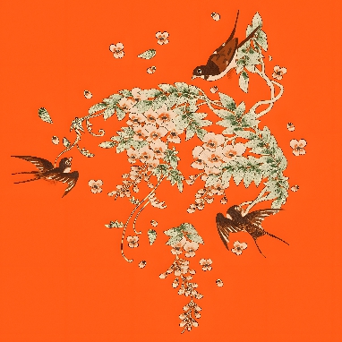 燕子