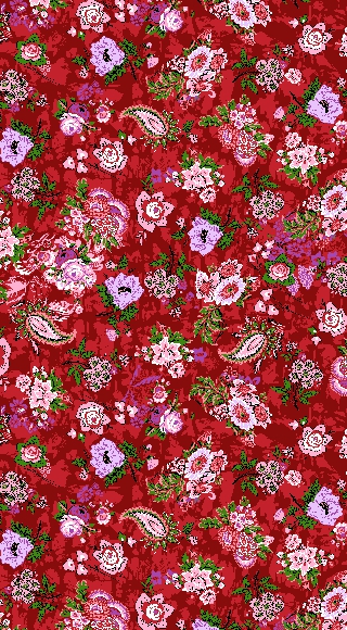 zwh    花  枝叶  腰果花